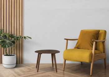 Mid-century modern living room interior design with monstera tree